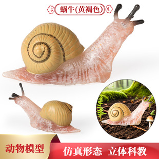 ����С΁ţ����ģ�ͷ���������x��ͯ�J֪�ƽ�����΢���^�[�����