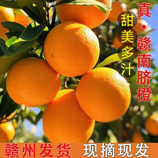 ���ڽ��������M��Ě�ȸ߶�ˮ�����r���䮔�������ȶY���b�a��ֱ�l