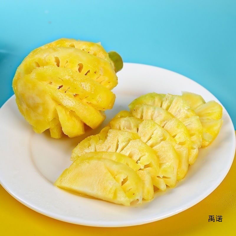 Thai mini pineapple fresh peeled small pineapple 2 jin fragrant mini pineapple seedless golden pineapple fresh pineapple