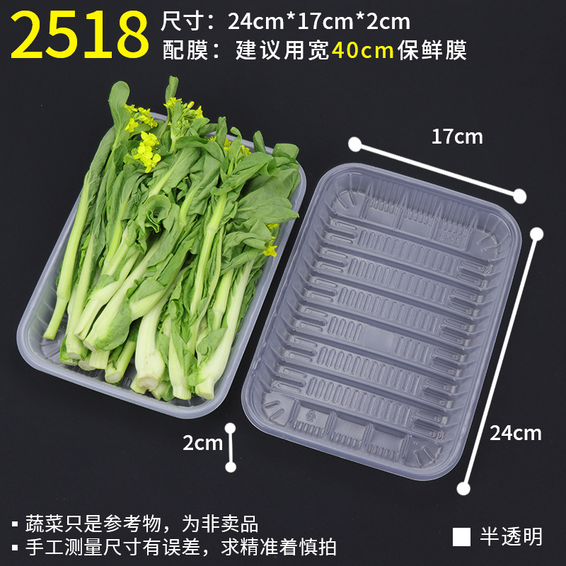 2518 translucent [100]