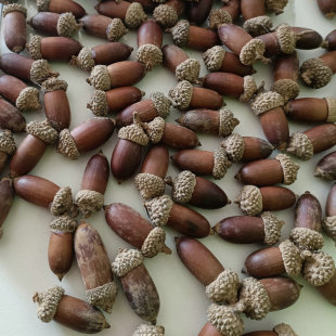 ?�������������������b��ֹ��ɻ������ˇ�ɻ��ɹ��廨����