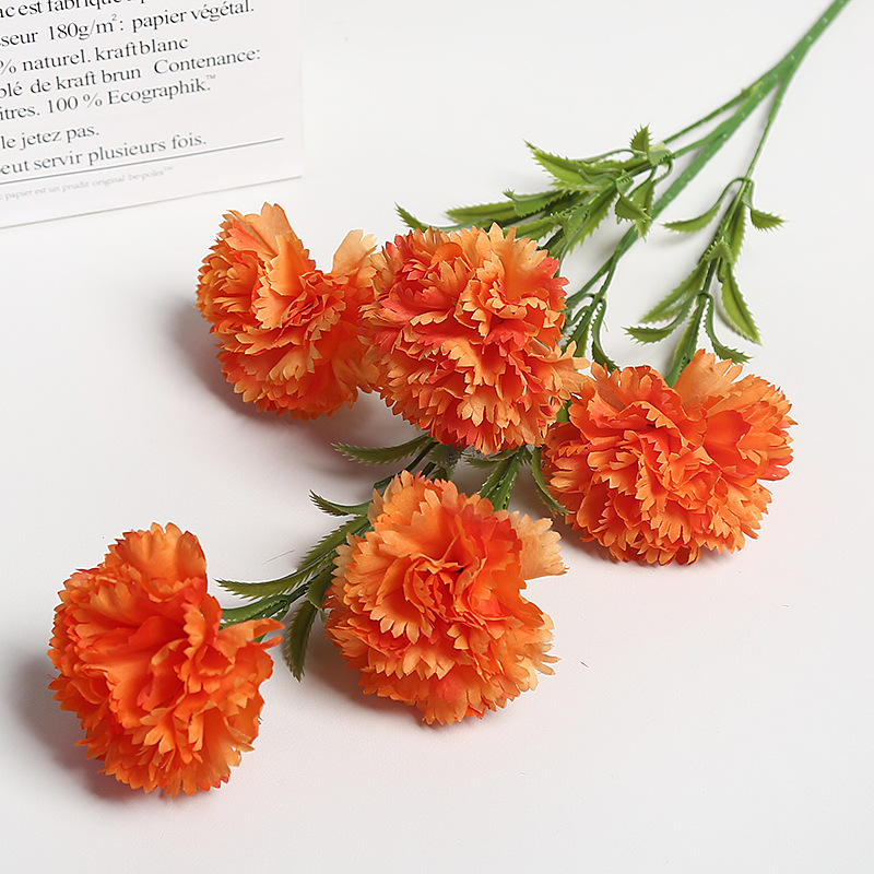 오렌지 카네이션 5개