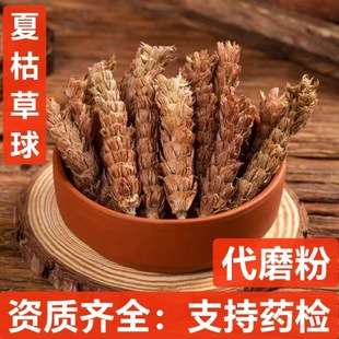 �Ŀݲ��� ��ș�� �Ŀ��� �Ŀݲ� ��ë�Ŀ���� �Ĺò��Ĺ��Ĺ�