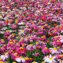 lxշN NҰM϶óx՚⾰^