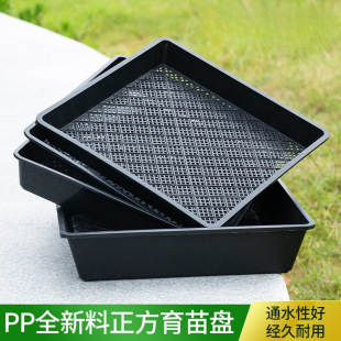 �Ӻ�ѿ������PѨ�Pѿ����бP����������l��ѿ��Nֲ�Ь����P