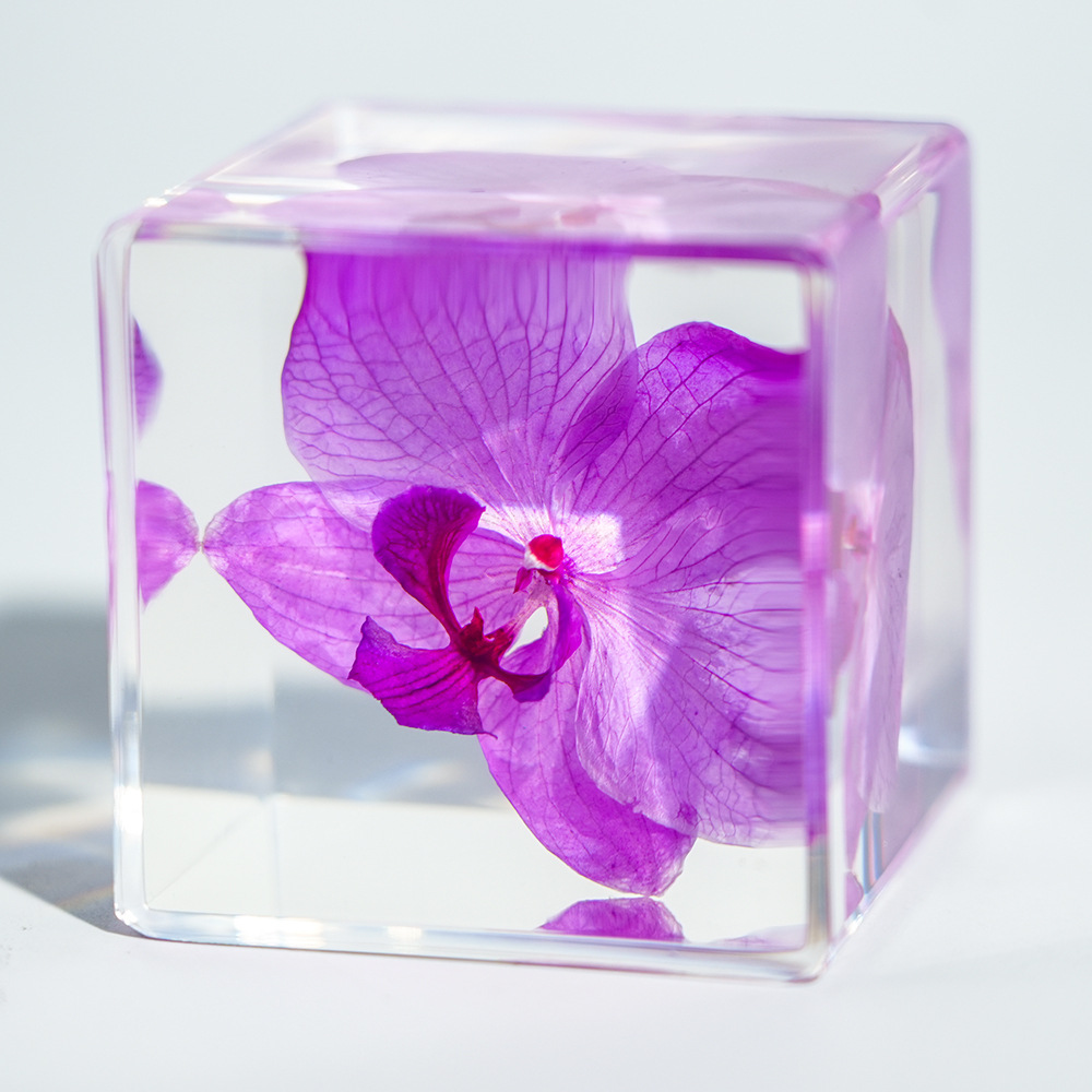 [Airplane Box] Cube Phalaenopsis Orchid Ornament