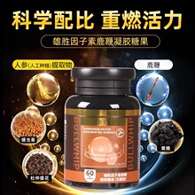 雄胜因字素鹿鞭丸凝胶糖果0.72g*60粒人参软糖鹿鞭软胶囊厂家直销