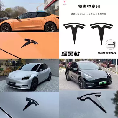 Logo Blackening and Renewal 3Y — Car logo