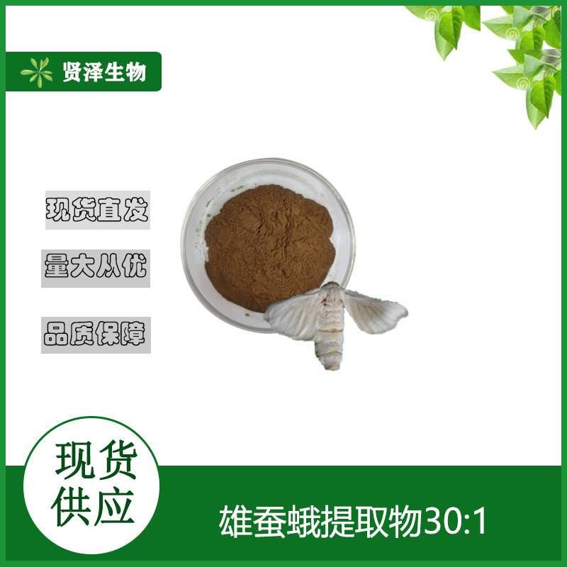 雄蚕蛾提取物30:1 雄蚕蛾提取  雄蚕蛾粉 贤泽生物 现货供应