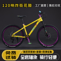 土坡山地自行车可做专业动作双碟刹变速成人男女代步单车越野赛车