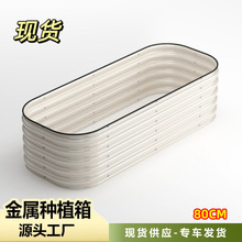 80CM���ٷNֲ�仨�@��ͥԺ�@ˇ���軨���߲���Nֲ���Nֲ�����N��