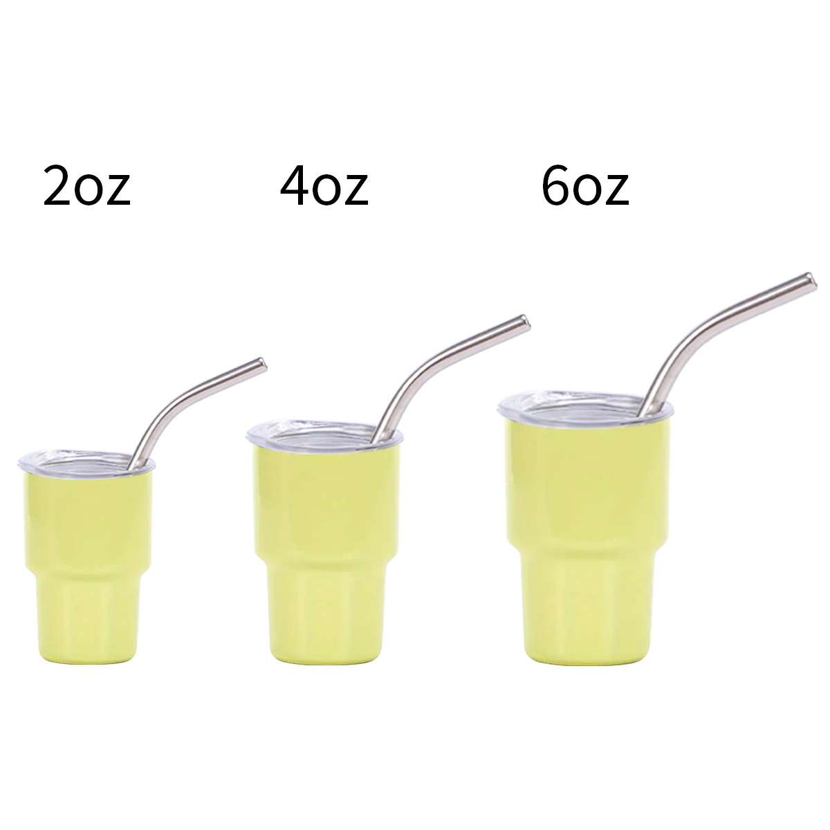 Housewarming, Party, Birthday Occasion Casual Elegant Solid Color 201 Stainless Steel 304 Stainless Steel Water Bottles 1 Piece