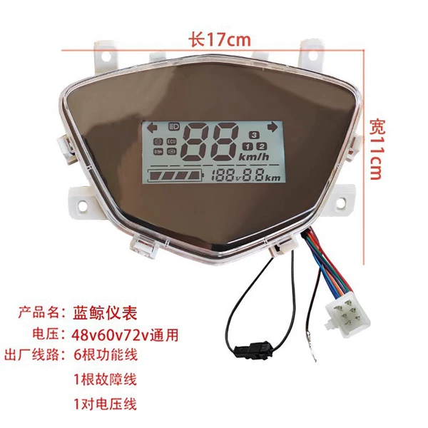 Blue Whale Instrument 48v60v72 Universal