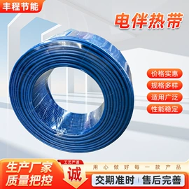 电热带