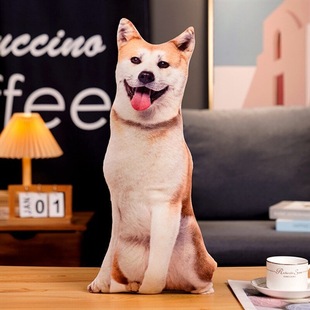 ������湷������3dë�q��ߐ���ֹ��^��żŮ������˯�X���Ϲ���