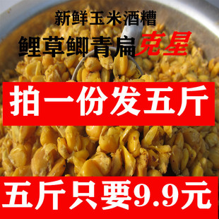 �ω��l�����׾���С��Ұ឴�C�C���~�D����ˮ���a�~���~���~���~