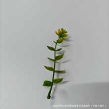 �����ȼ����軨����ֲ�������X�~õ����滨�����҃��b����