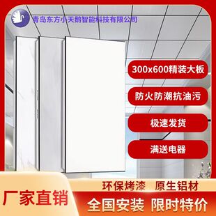 ���ɵ���X�۰�300x600�X�컨��픏N���l���g�̨ȫ�ײ��ϰ��b