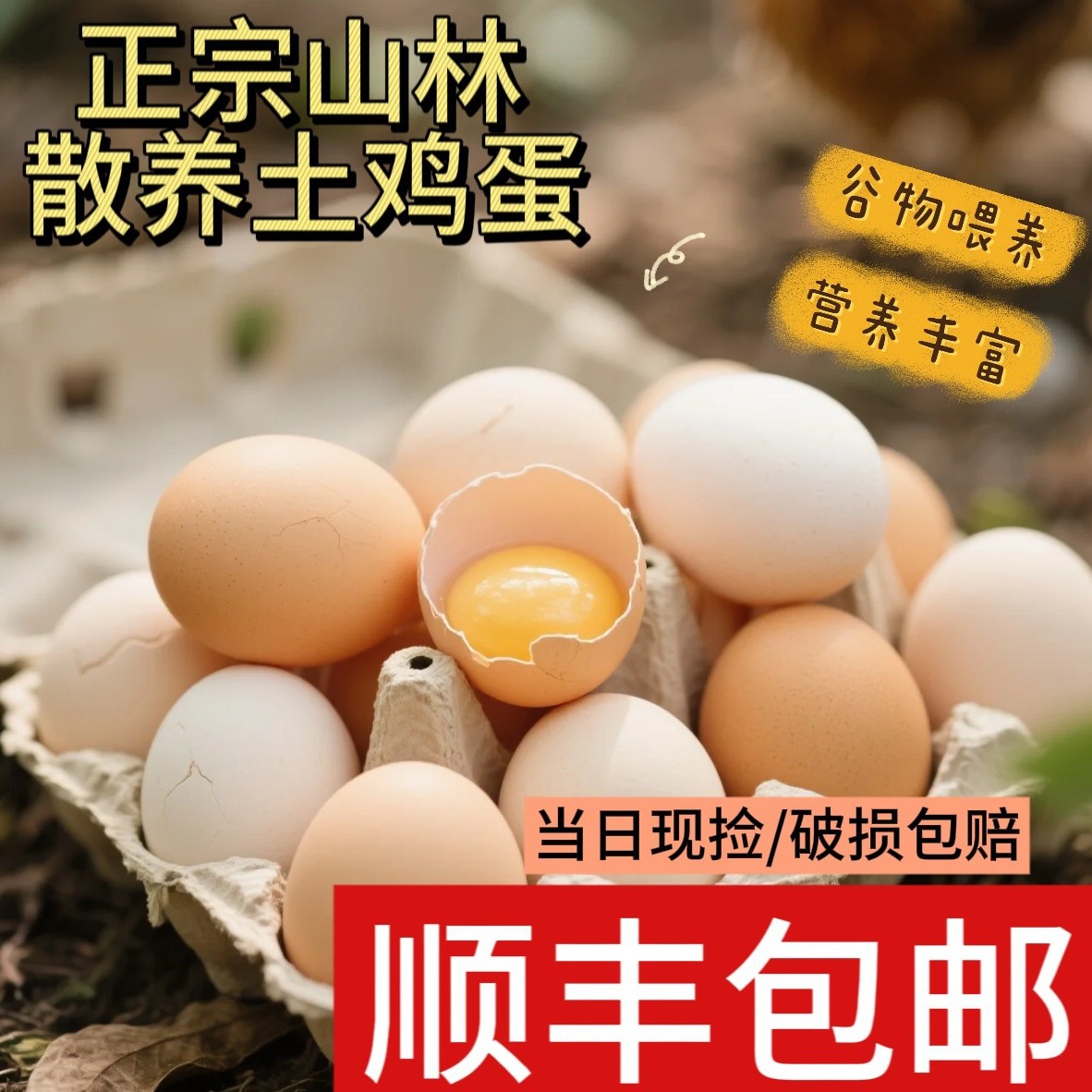 散养土鸡蛋谷物喂养破损包赔绿壳蛋有机蛋高蛋白五谷营养笨鸡蛋