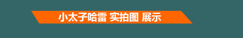 Dingzun Exports Little Prince Harley Electric Car Electric Motorcycle Scooter Battery Car Wide Tire Adult Retro