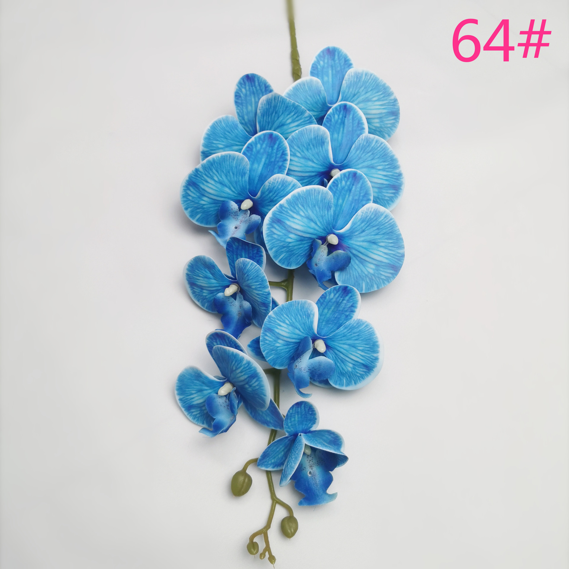 IMG_20220531_181050_副本