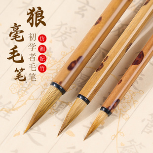 ��������β��βС��ë�P�����������Pω�^С��ë�P���W��С�Ǻ�