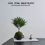 乔迁空气植物办公室商务品
