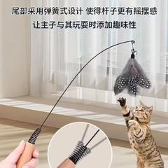 CFAレース級の木の柄のスプリングは猫の棒の羽の鈴をからかいます。