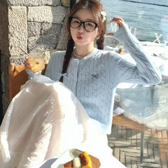 外搭开衫女韩系女新款早秋学院风上衣针织外套高级感秋季软糯毛衣