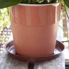 Plastic flower pot tray, thickened base, large water-collecting pan, cushioned pot stand, succulent-friendly round base, and flower pot pedestal