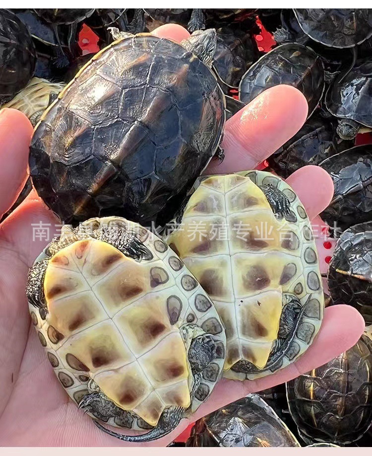 微信图片_20221104125839