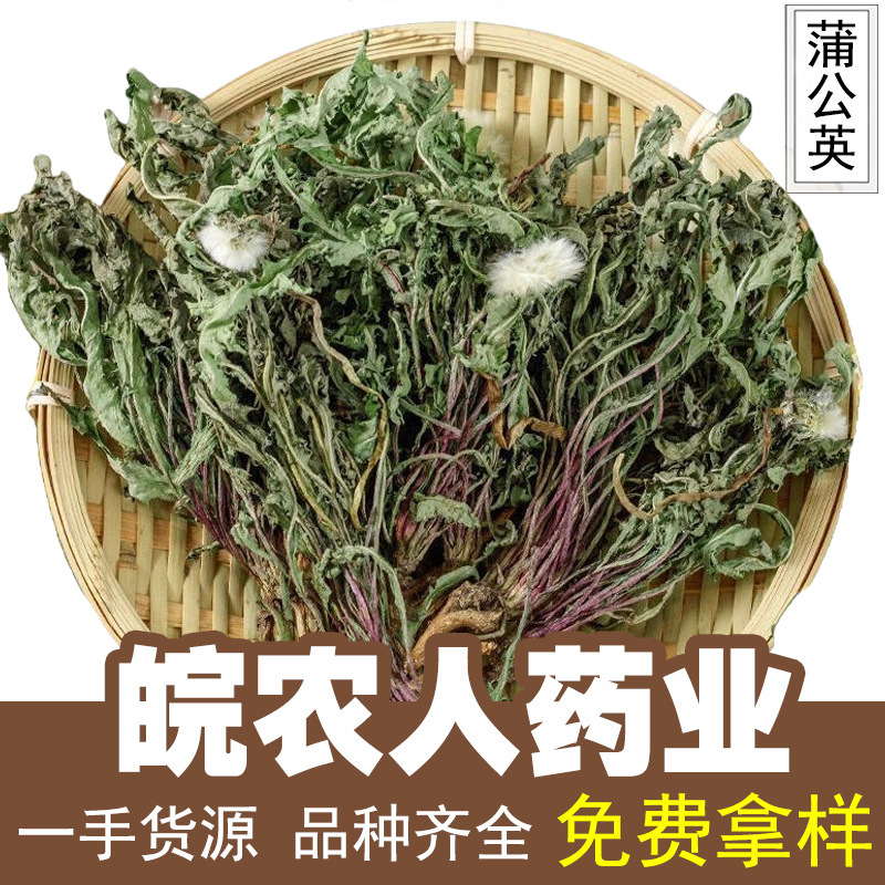 Whole Dandelion Plant 500g Changbai Mountain Mother-In-Law's Button Soaked in Water, Whole Plant with Roots, Chinese Medicinal Materials Wholesale