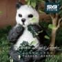 熊猫仿真公园防水音响