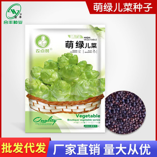 ���S�N�I�ȾG���˷N������o��ζ���˷N�ѱ��ӽ�����޲˷N�����l