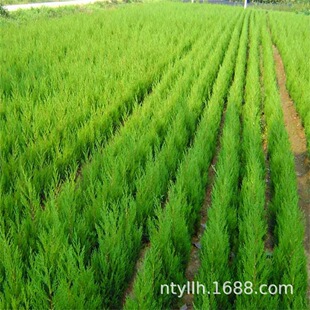 �ļ������ɰؘ���Ȱؘ����؈A�������،�������������Ĺ�ؾG��