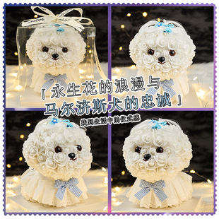 �R����˹ȮPE��ĭ��������ż���˹��Y��õ�廨С���������Ů��