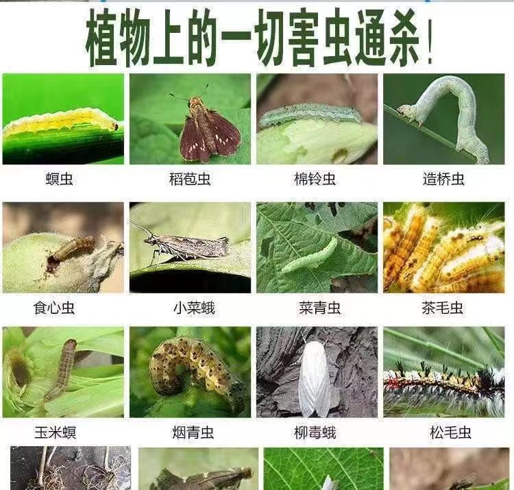 微信图片_20240410112649