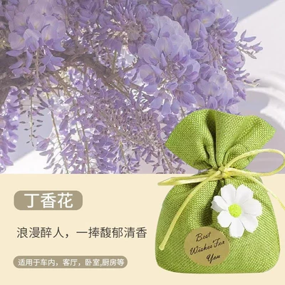 Air Freshener 2026 New Model | Car Perfume Aromatherapy - car-bamboo-charcoal-bag-lilac