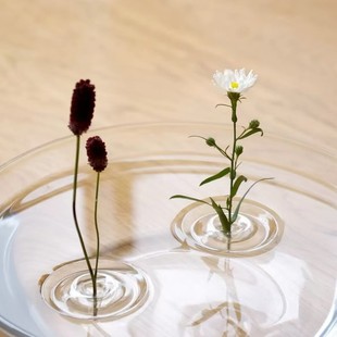 Creative design cross-border new living room flower arrangement hydroponic container floating flower arrangement special material interesting ornaments