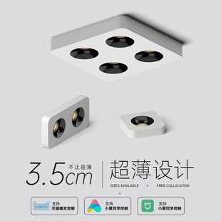 Minimalist Ultra-Thin Surface-Mounted Anti-Glare Downlight Spotlight Living Room Household Square Double-Head Four-Head Bold Lamp Without Main Light Smart