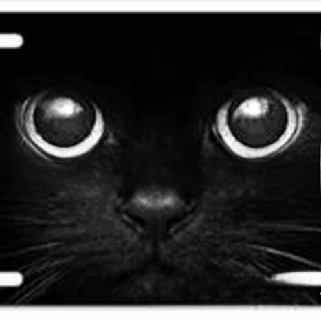 Factory Direct Heating Transfer DIY Personalized Four-Hole License Plate Blank Material Wholesale