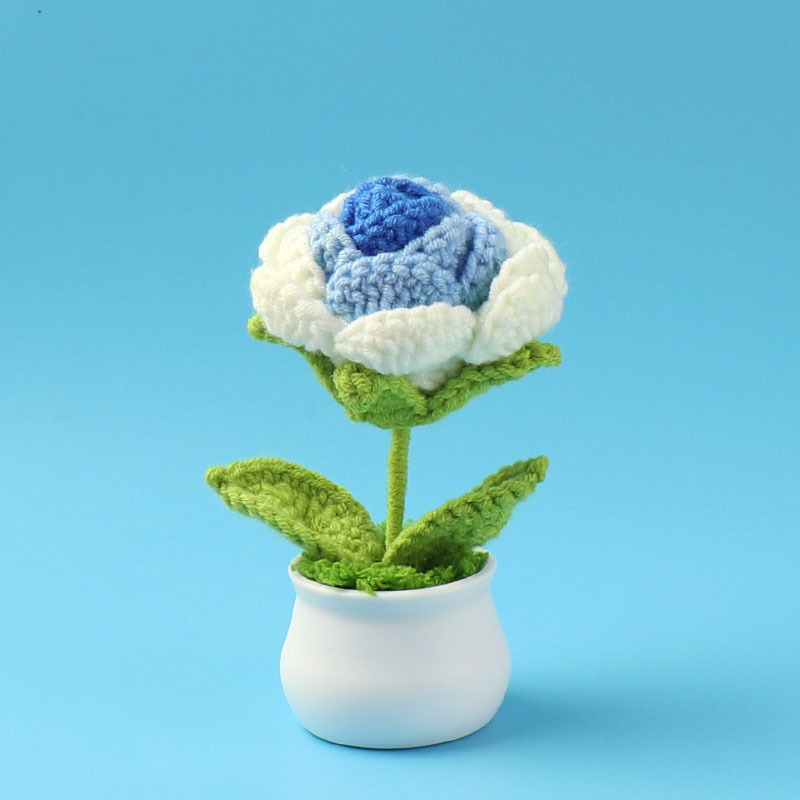 Rose Azul Gradiente (Gran) Pequeña maceta