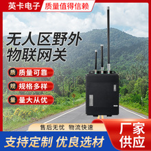 ӢWWPҰԽMW̽yßo蹩mҰԽMW