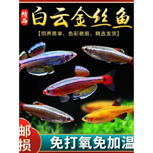 ��녽�z�~��ˮ�~�^�p�~�󷫼tβ�����~ԭ���~С���~���~����Ⱥ��