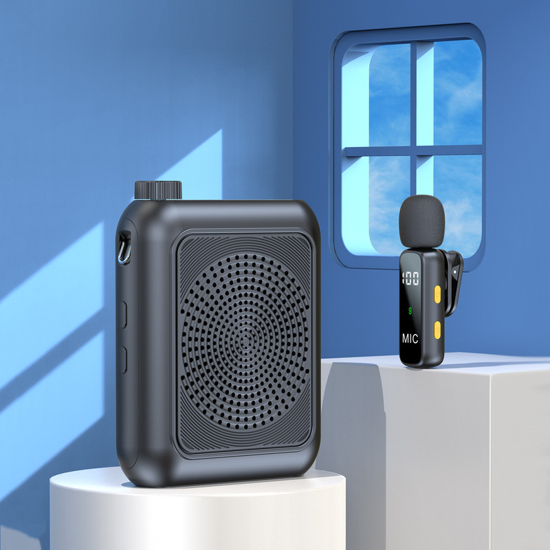 New Wireless Bee-Shaped Amplifier L06 Lavalier Microphone for Live Streaming and Shooting, Portable with Charging Case New Wireless Bee-Shaped Amplifier L06 Lavalier Microphone for Live Streaming and Shooting, Portable with Charging Case