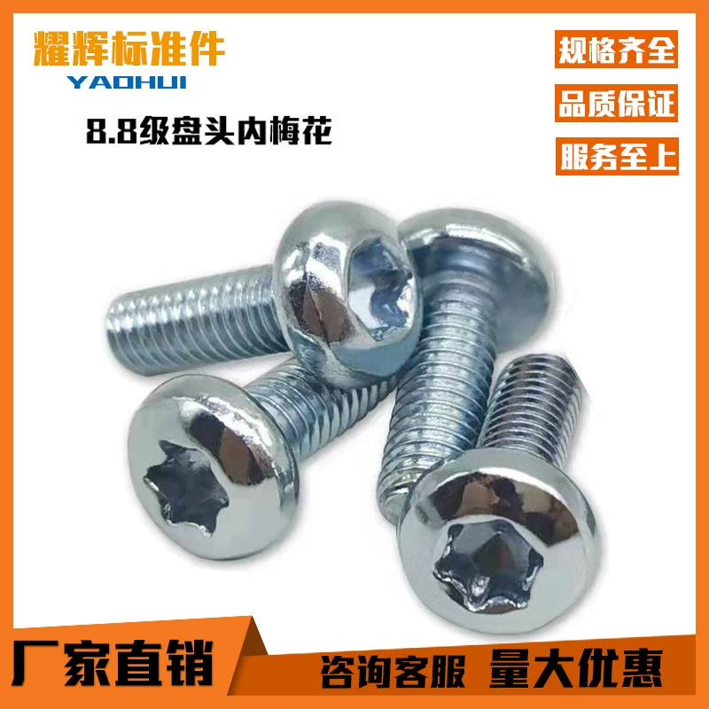 8.8 Класс GB2672 Плоская головка/головка диска/круглая головка внутри сливовой канавки оцинкованный винт машины противоугонная и антидемонтажная винт M3-M8
