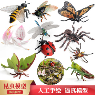 �羳�����w�����x����ģ����ߺ����۷�֪��������냺ͯ�J֪���b