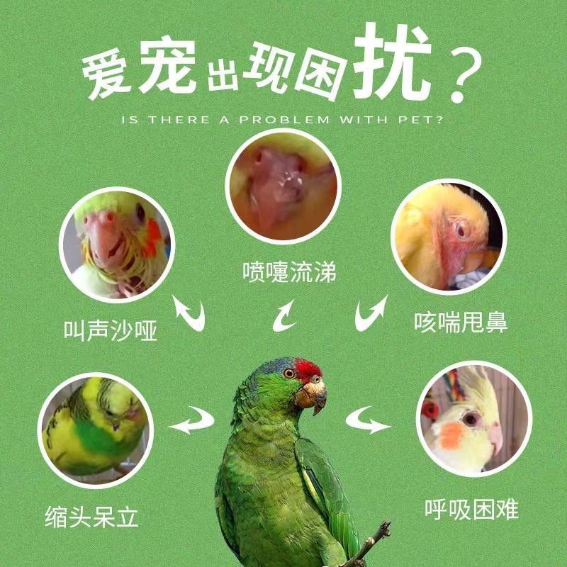 普欣諾のオウムの風邪の鳥の専用はまばらに息を引き取って咳をします。|undefined
