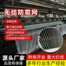 定制防雹网二合一 聚乙烯加厚抗老化葡萄大棚果园防虫无结网批发