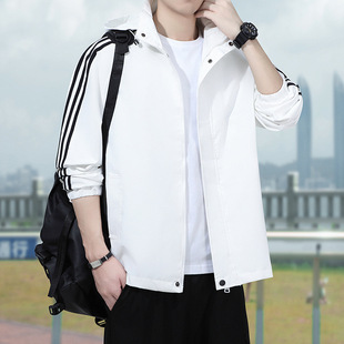 �羳���l�ܴ�����ʿ����2026���b�¿����I�A�˹��b�������e�_�h��